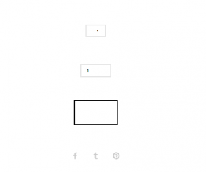 squarespace_bug